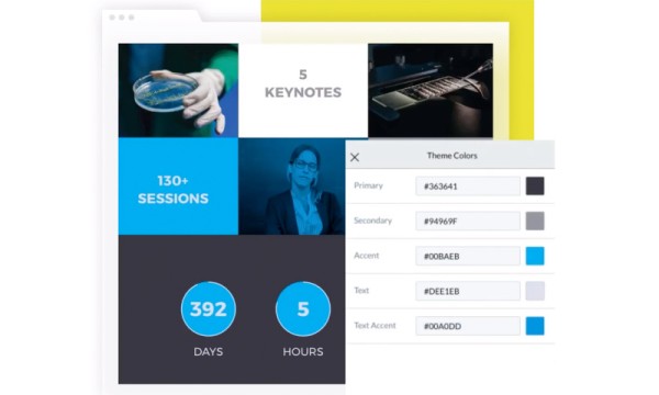 A screenshot of a web dashboard showing a theme color palette and other user information.