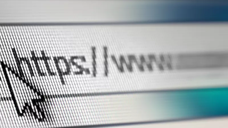 Close-up of a web address with a padlock symbol in the URL bar on a computer screen.