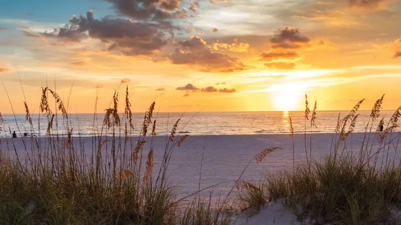 A beautiful view of the beach with grasses, water, and the sun setting in the sky.