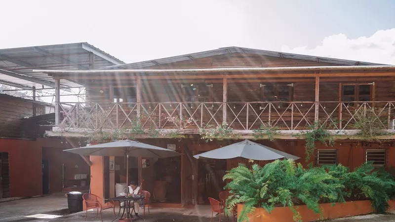 Outdoor seating area with umbrellas and lush plants at Selina Cahuita, highlighting tropical ambiance.