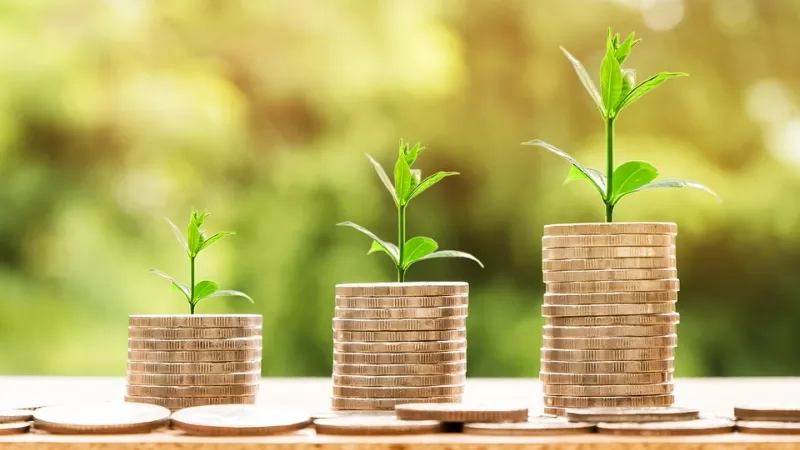Money and plants growing in pots, symbolizing growth and success in investments.