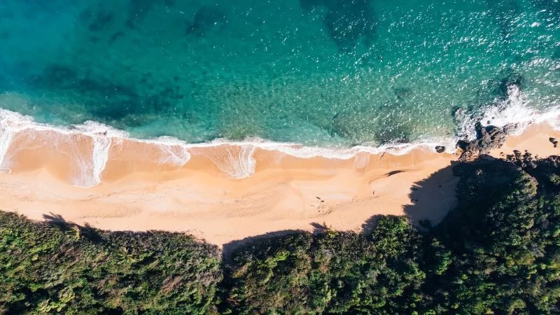 Aerial view of the shoreline of the beach with lush green trees and rocks on the right side.