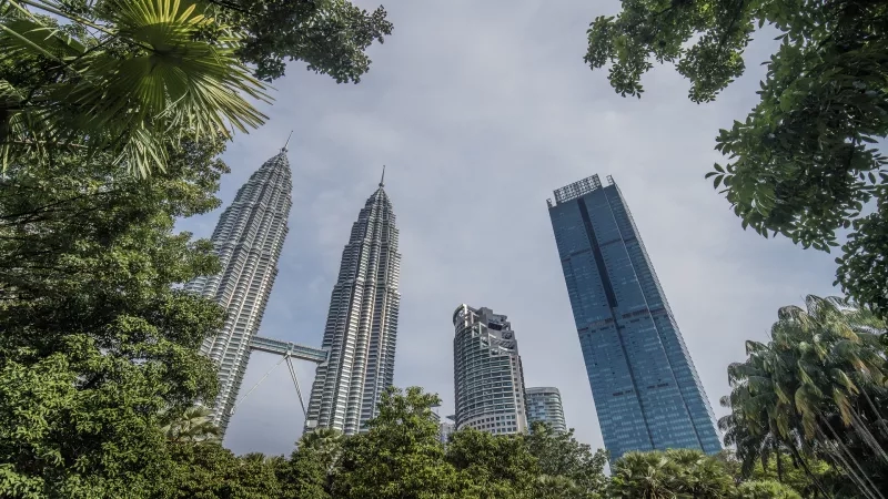 A view of the Twin Petronas Towers from the top of a tree, with a cloudy sky.