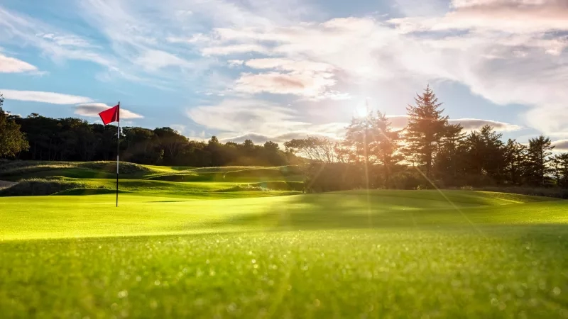 Golf course putting green with flag at sunset, lush green grass, sun rays, trees and cloudy sky.