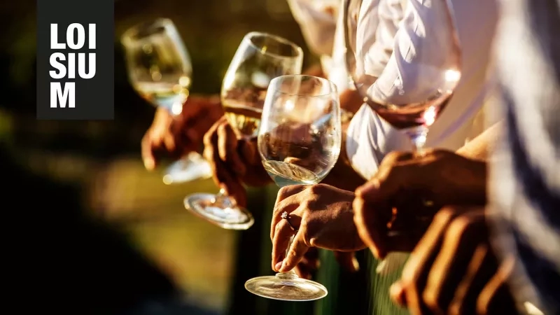 A group of people clinking glasses together at a wine tasting event in the Loire Valley.