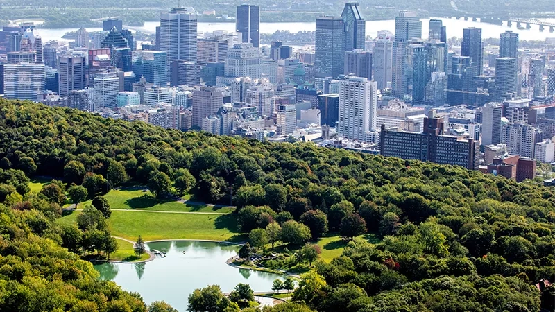 A top view of the city with tall buildings and a small lake surrounded by trees.