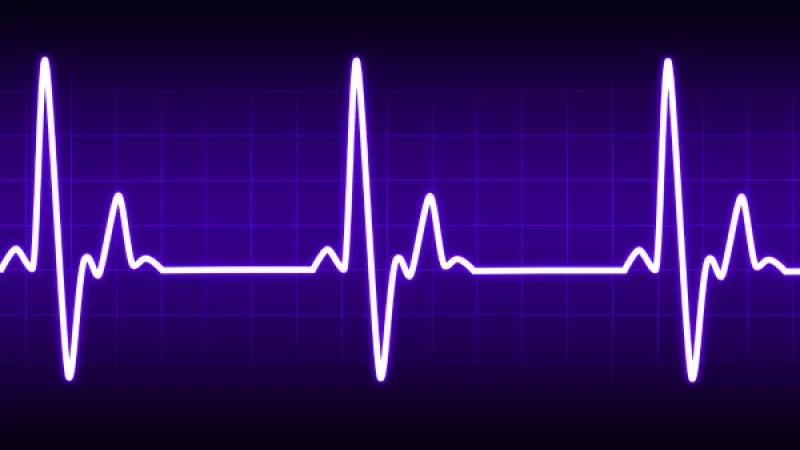 An electrocardiogram showing the heart rate with a black background and a blue neon outline.