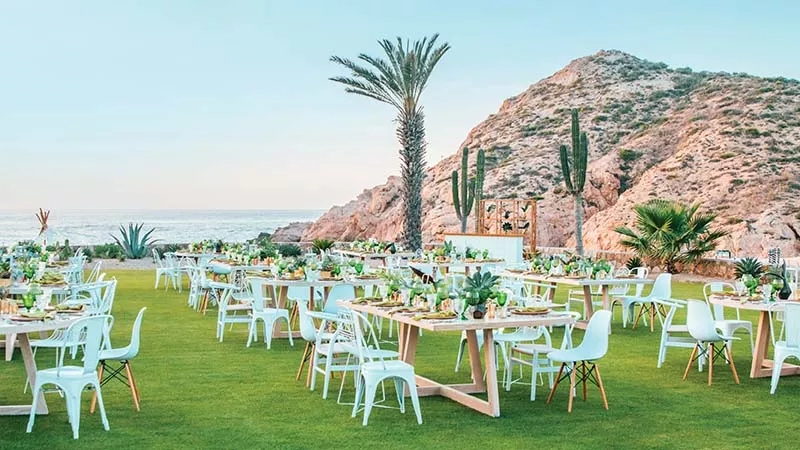 Greenery-themed wedding reception setup on the grass with mountains in the background at Los Cabos.