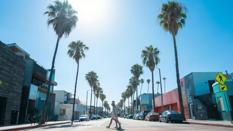 A woman walking across a street lined with palm trees and modern buildings in Los Angeles.