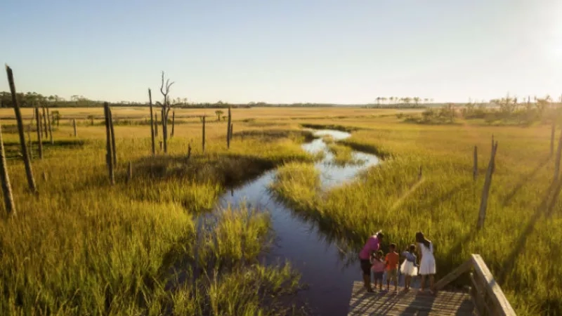 A family of five stands on a wooden boardwalk over a marsh at Cumberland Island National Seashore.