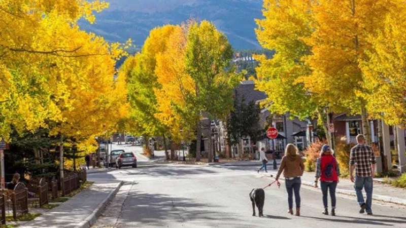 A group of people with a dog walking on a street with trees, a mountain, and houses.