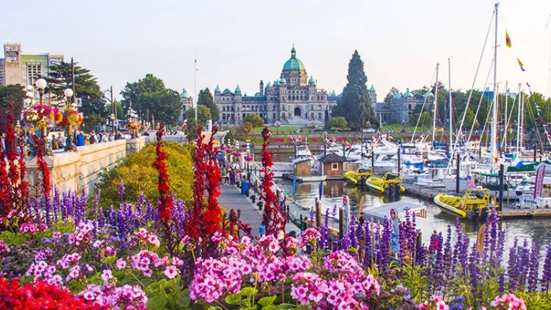 Boats and sailboats in a harbor, with flowers in the foreground and buildings in the background.