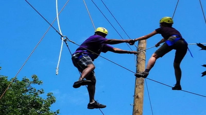 Two people on a tight rope holding hands on a sunny day with a blue sky.