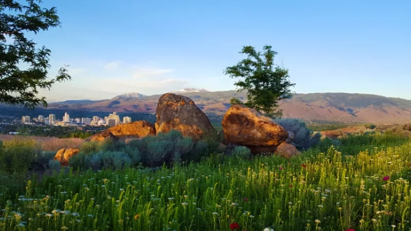 The outdoor view of a grassy field with rocks and a mountain range in the distance.