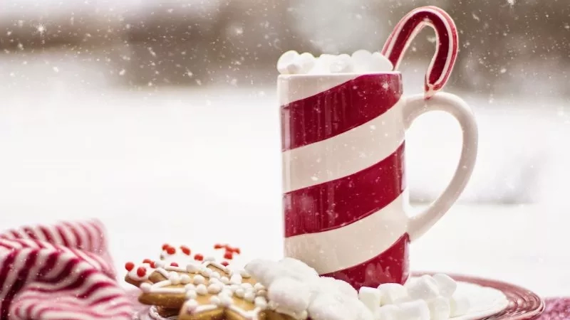 Red cup of hot chocolate with marshmallows and candy cane on a snowy day with gingerbread cookies and a red blanket.