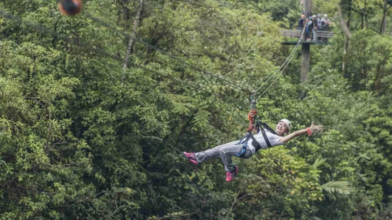 A person ziplining through lush trees and greenery in a Costa Rica adventure.