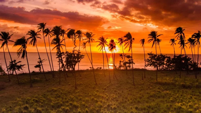 The sun sets behind palm trees in Rincon, Puerto Rico, creating a warm and serene atmosphere.
