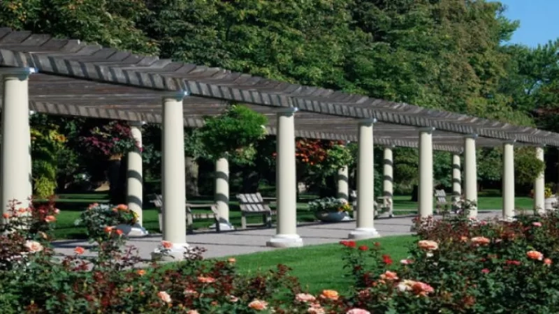 A serene garden with a pergola, columns, and lush flowers.