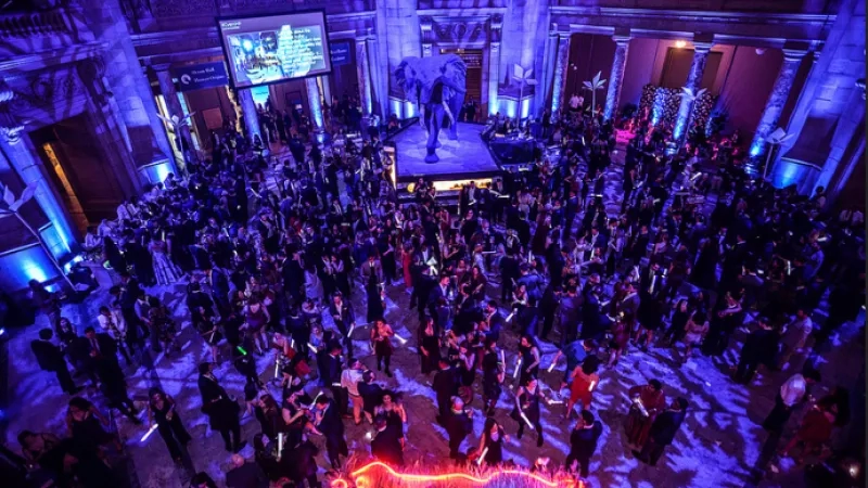 Large group of people at a museum event with elephant and lighting in the middle of the room.
