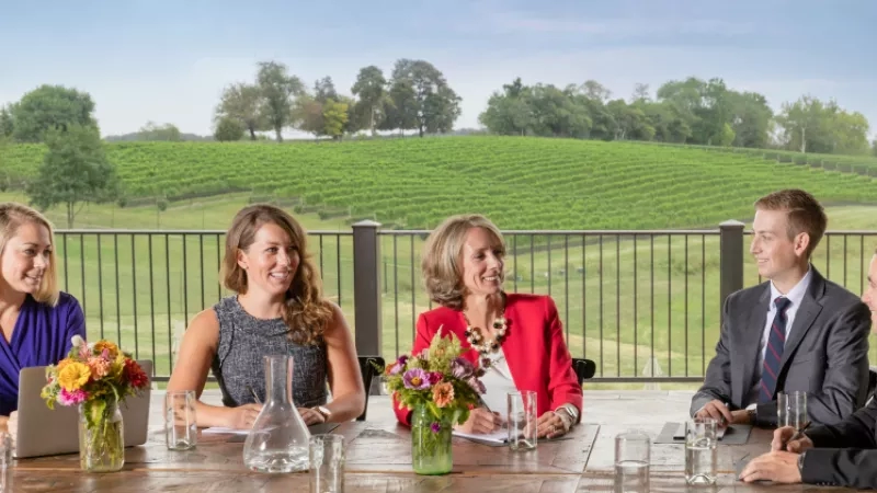 Group of business professionals gathered at a wooden table in a scenic vineyard with a view.