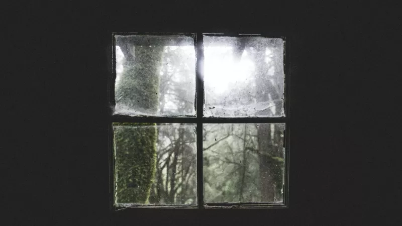 Four square windows with black frames and glass panes, reflecting a forest, on a dark background.
