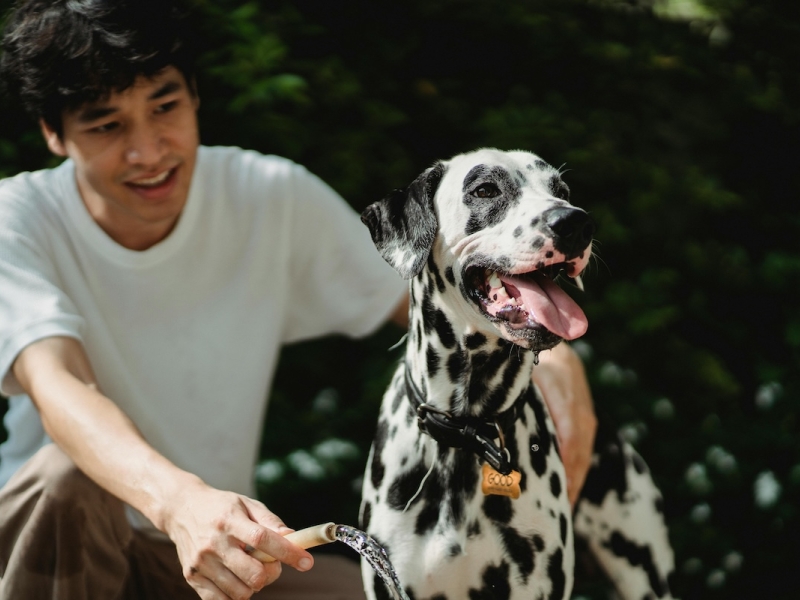 A man and his dog outside, with the dog wearing a tag that says "good boy".